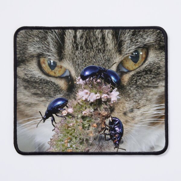 Item preview, This is bugging me SO much... designed and sold by cuprum.