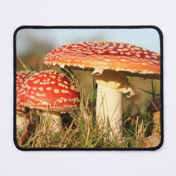 Item preview, Fly agaric designed and sold by cuprum.