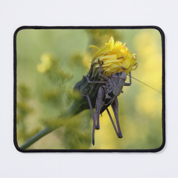 Item preview, Embrasse moi! designed and sold by cuprum.