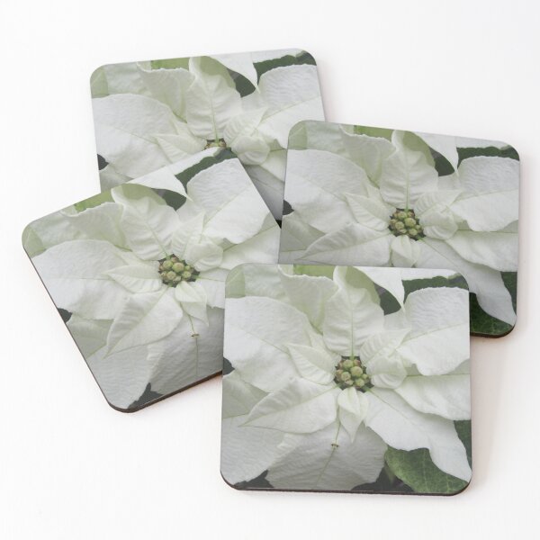 Item preview, White Poinsettia - Euphorbia pulcherrima designed and sold by lezvee.