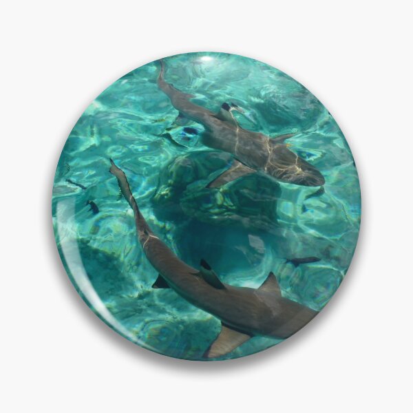 Item preview, Reef Sharks in Turquoise Water designed and sold by HFGjewels.