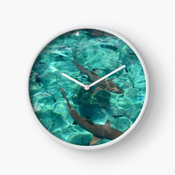 Reef Sharks in Turquoise Water Clock