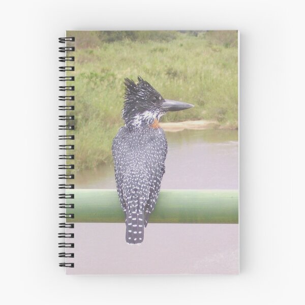 Item preview, Giant Kingfisher watching out for prey designed and sold by DWeyers.