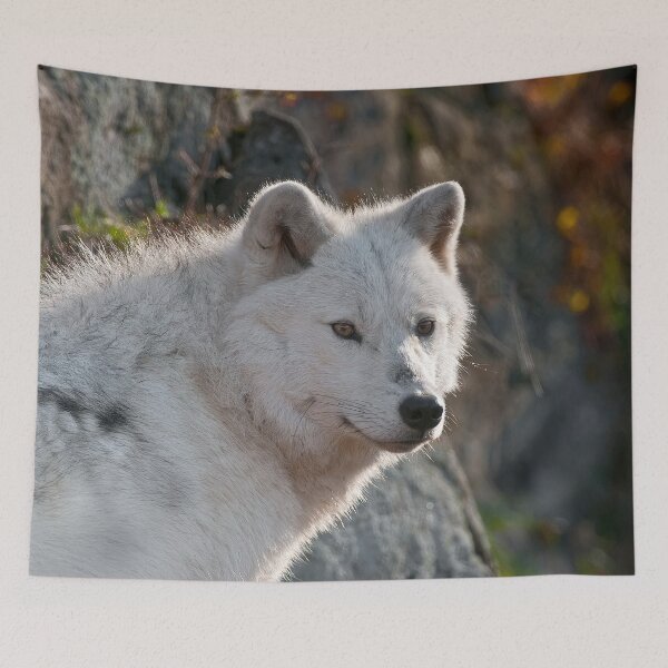 Item preview, Arctic Wolf designed and sold by Michael Cummings.