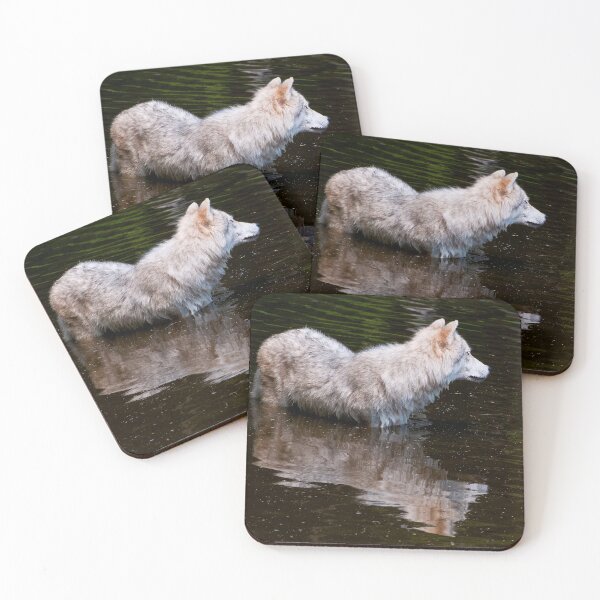 Item preview, Arctic Wolf In Pond designed and sold by Michael Cummings.