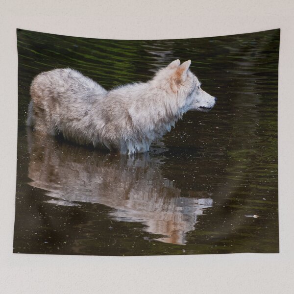 Item preview, Arctic Wolf In Pond designed and sold by Michael Cummings.