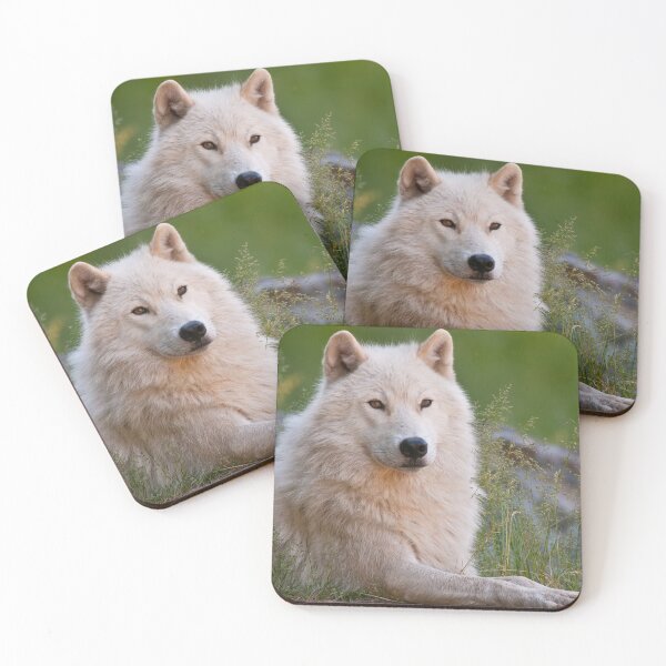 Item preview, Arctic Wolf designed and sold by Michael Cummings.