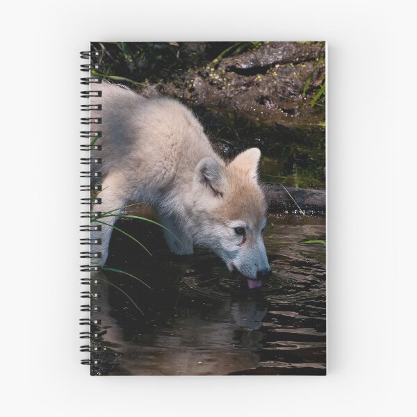 Item preview, Arctic Wolf Pup Drinking designed and sold by Michael Cummings.