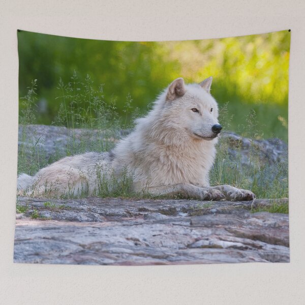 Item preview, Arctic Wolf designed and sold by Michael Cummings.