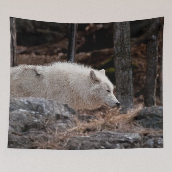 Item preview, Arctic Wolf designed and sold by Michael Cummings.
