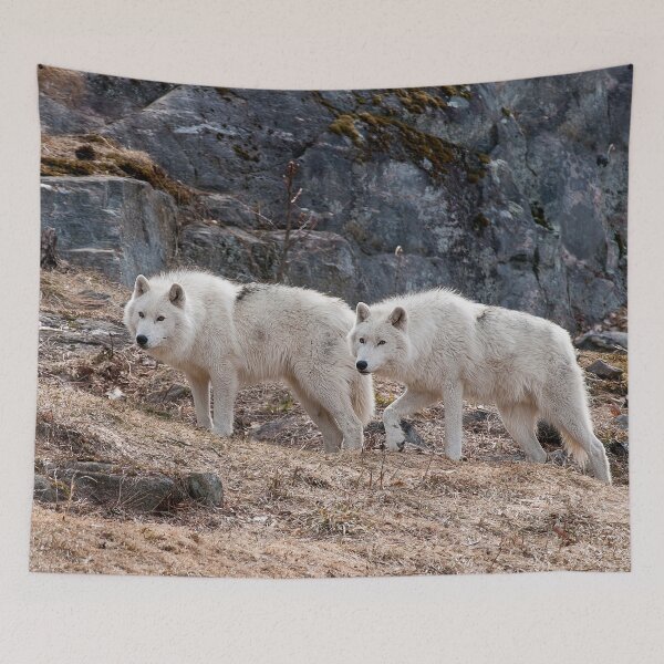 Item preview, Arctic Wolves designed and sold by Michael Cummings.