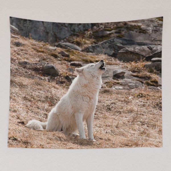 Item preview, Arctic Wolf Howling designed and sold by Michael Cummings.