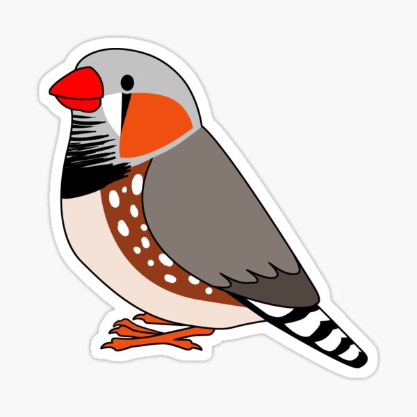 Artikel-Vorschau von Niedliche Zebrafinken-Cartoon-Zeichnung, designt und verkauft von lifewithbirds.