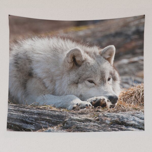 Item preview, Arctic Wolf designed and sold by Michael Cummings.