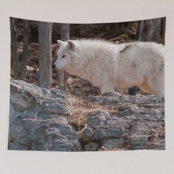 Item preview, Arctic Wolf designed and sold by Michael Cummings.