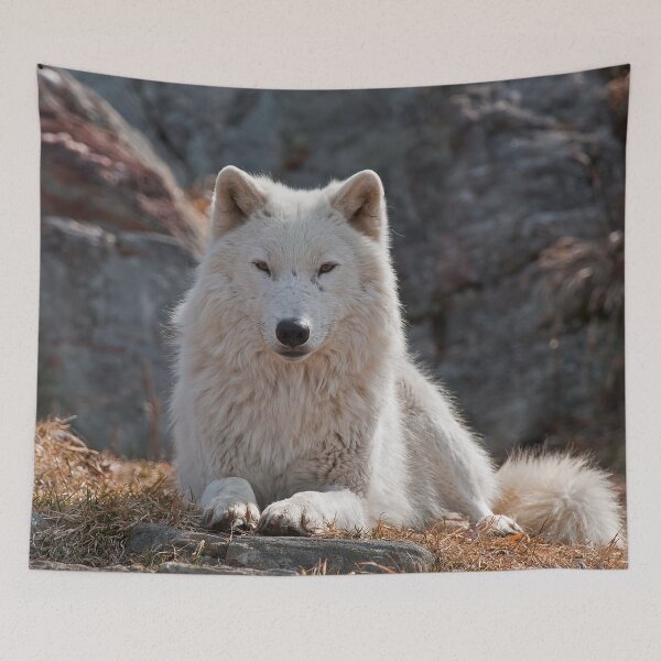 Item preview, Arctic Wolf designed and sold by Michael Cummings.