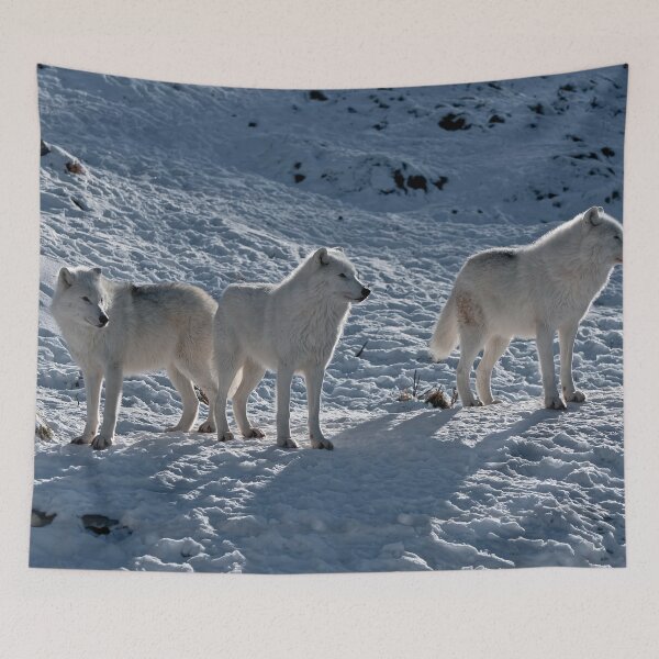 Item preview, Arctic Wolves designed and sold by Michael Cummings.