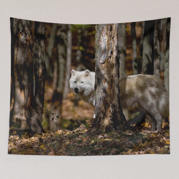 Item preview, Arctic Wolf designed and sold by Michael Cummings.