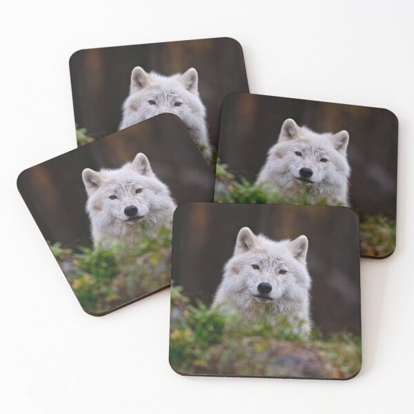 Item preview, Arctic Wolf designed and sold by Michael Cummings.