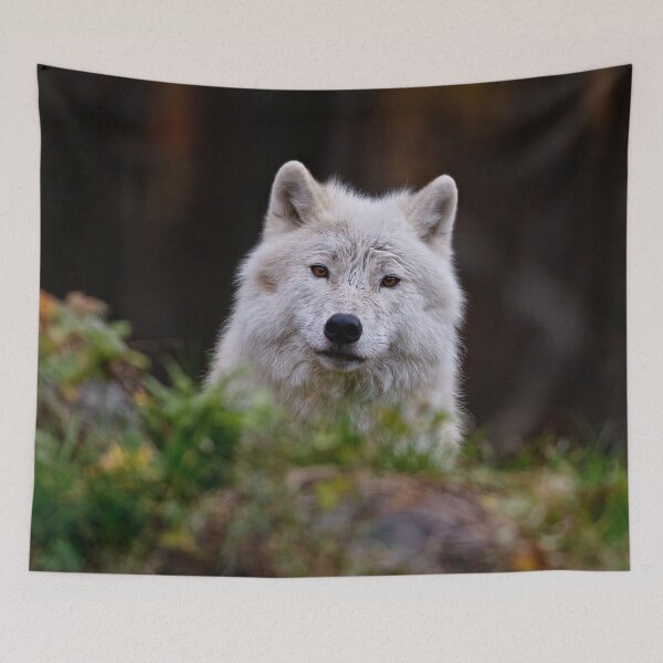 Item preview, Arctic Wolf designed and sold by Michael Cummings.