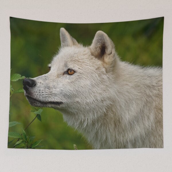 Item preview, Arctic Wolf designed and sold by Michael Cummings.