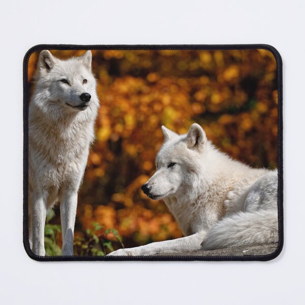Item preview, Timber Wolves designed and sold by Michael Cummings.