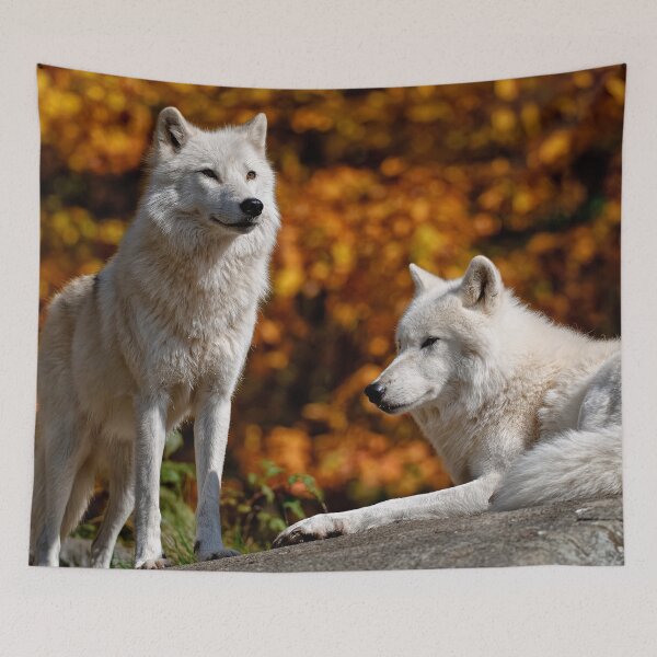 Item preview, Timber Wolves designed and sold by Michael Cummings.