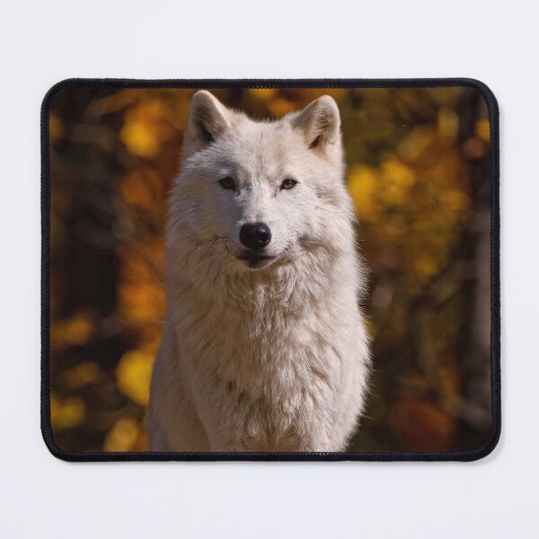 Item preview, Arctic Wolf designed and sold by Michael Cummings.