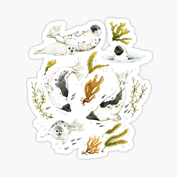 Item preview, Harp Seals designed and sold by Delphine Dion.