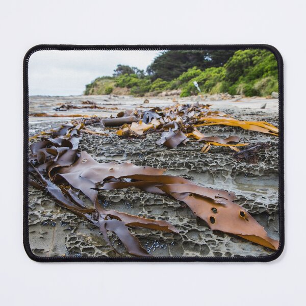 Item preview, Seaweed on the rocks. designed and sold by shaynetwright.