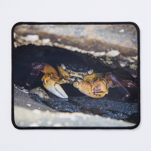 Item preview, Crab in a hole designed and sold by shaynetwright.