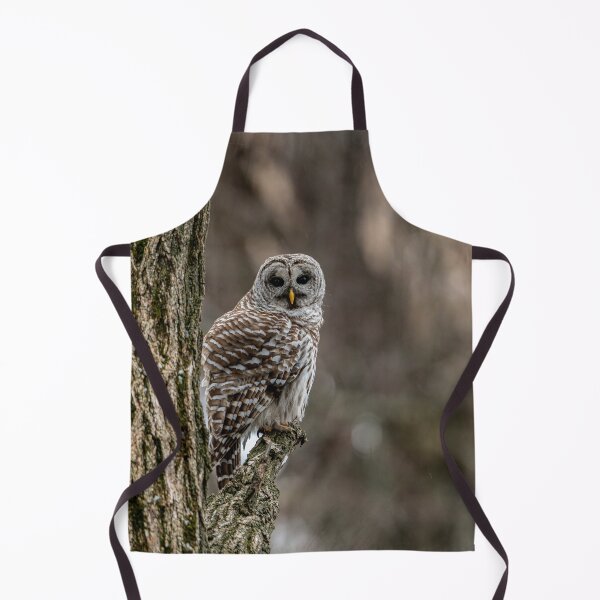 Item preview, Barred Owl In Tree designed and sold by Michael Cummings.