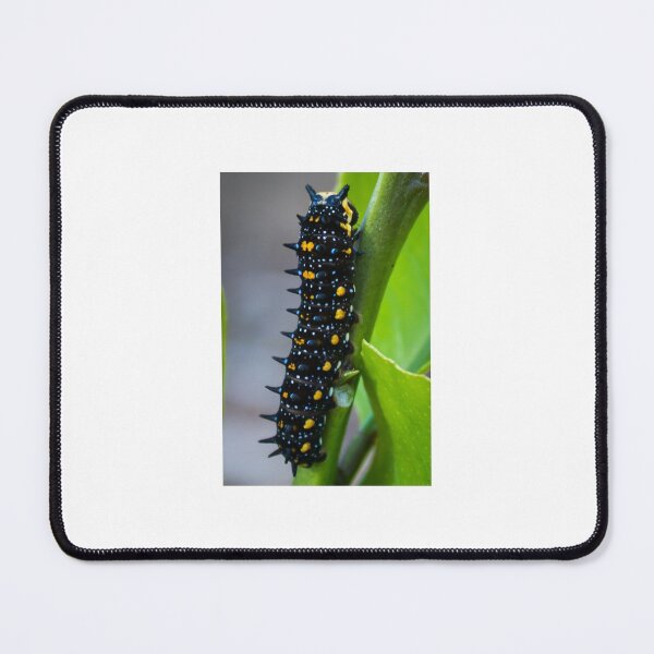 Item preview, Hungry caterpillar designed and sold by shaynetwright.