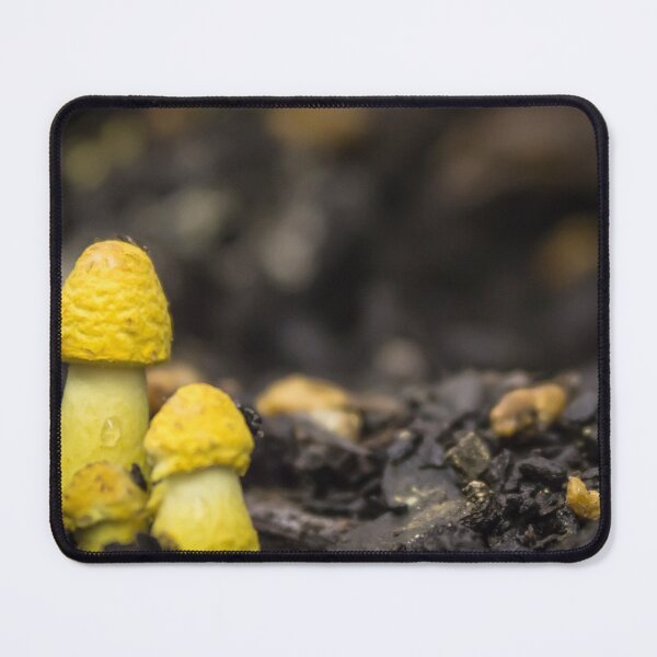 Item preview, Fungus in minature #1 designed and sold by shaynetwright.
