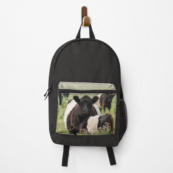 Item preview, Belted Galloway Cows designed and sold by Jane Stanley Photography.