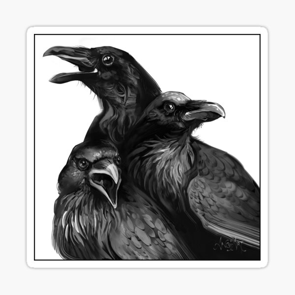 Murder of Crows Sticker