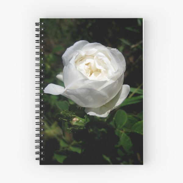 Item preview, Pure White Beauty designed and sold by Sharon Goldsworthy.
