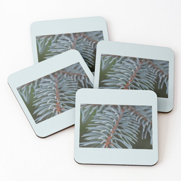Item preview, Colorado Blue Spruce Tree New Growth Branch Evergreen Macro Photography designed and sold by JariHawk.