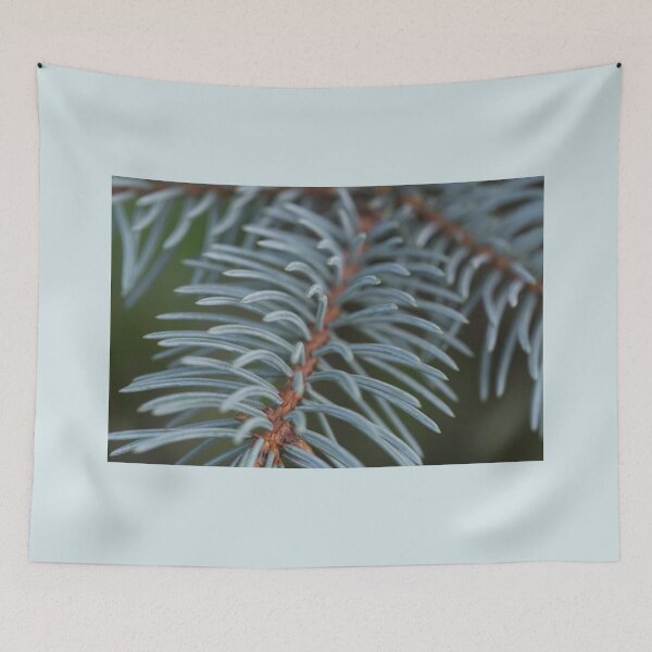 Item preview, Colorado Blue Spruce Tree New Growth Branch Evergreen Macro Photography designed and sold by JariHawk.