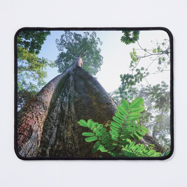 Item preview, Giant Tree designed and sold by sinseeho.