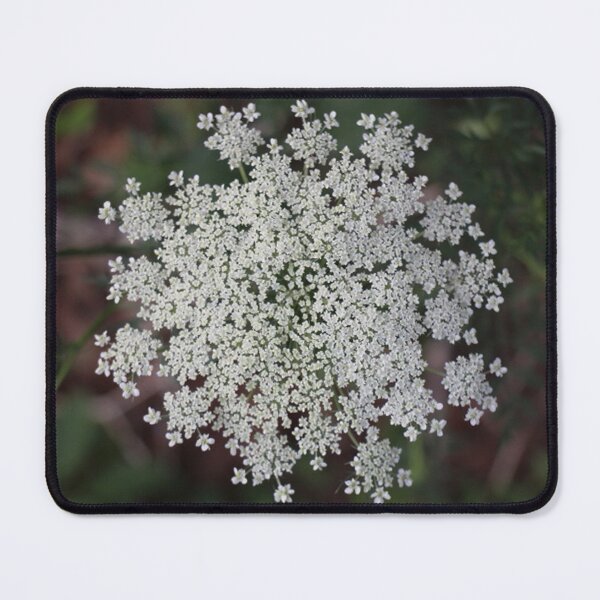 Item preview, Queen Annes Lace White Wildflower Flower designed and sold by JariHawk.