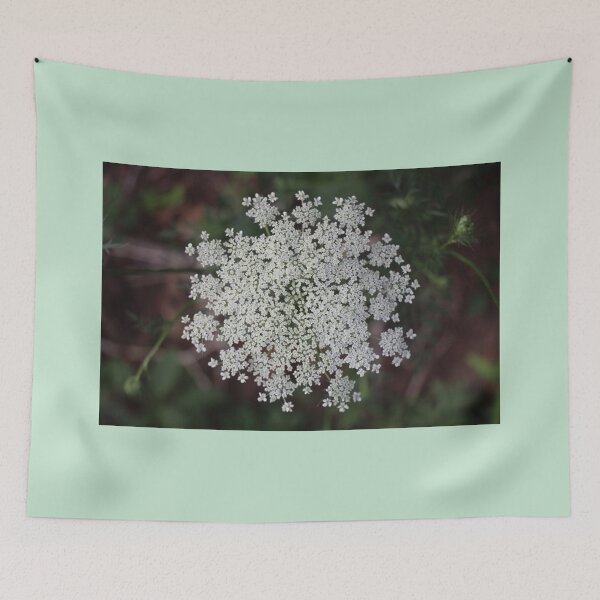 Item preview, Queen Annes Lace White Wildflower Flower designed and sold by JariHawk.