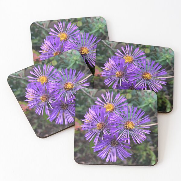 Item preview, New England Aster Flowers designed and sold by laceyyyann34.