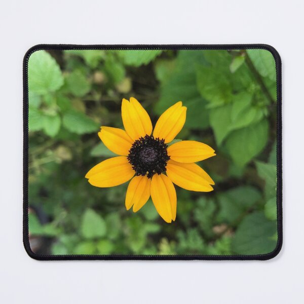 Item preview, Brown-eyed Susan flower designed and sold by laceyyyann34.