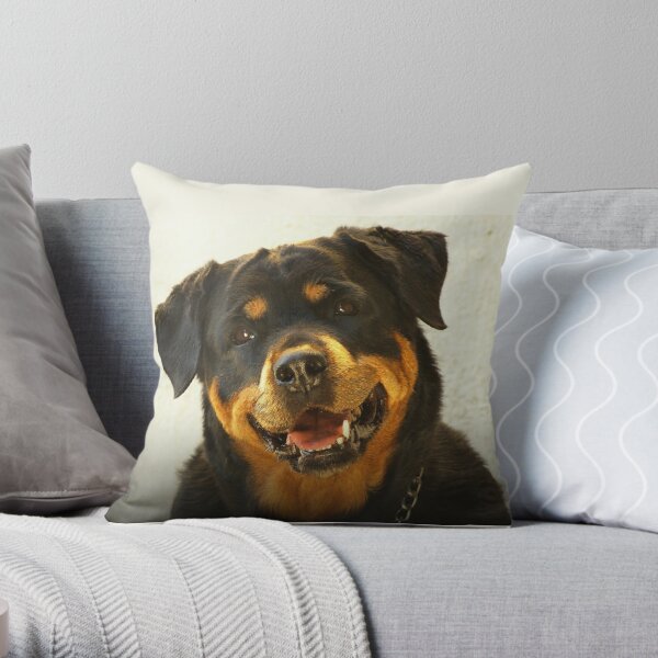 Young Rottweiler Dog Black Tan Smiling Photo Print 16" Pillow Cushion Cover 