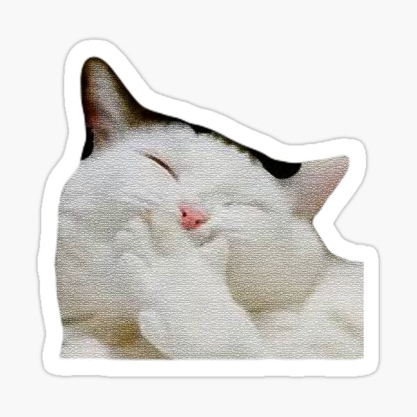 FUNNY SHY FACE CAT MEMES  Sticker