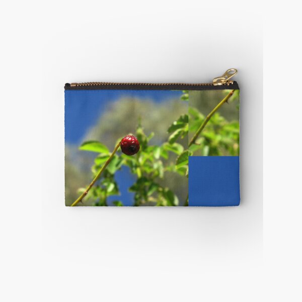 Item preview, Rose Hip Bud designed and sold by Sharon Goldsworthy.