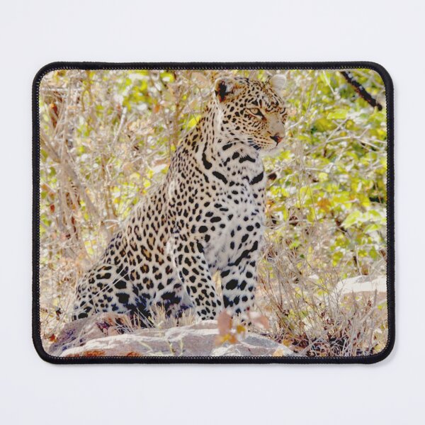 Item preview, Leopard sighting in the Kruger National Park designed and sold by DWeyers.