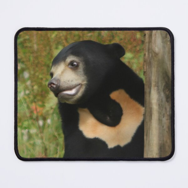 Item preview, Sun Bear designed and sold by Ladymoose.