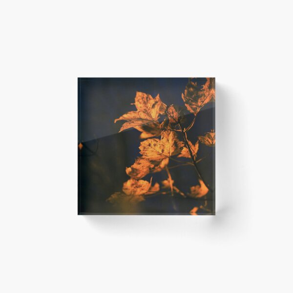 Item preview, Looking - A view  designed and sold by Carl Gaynor.